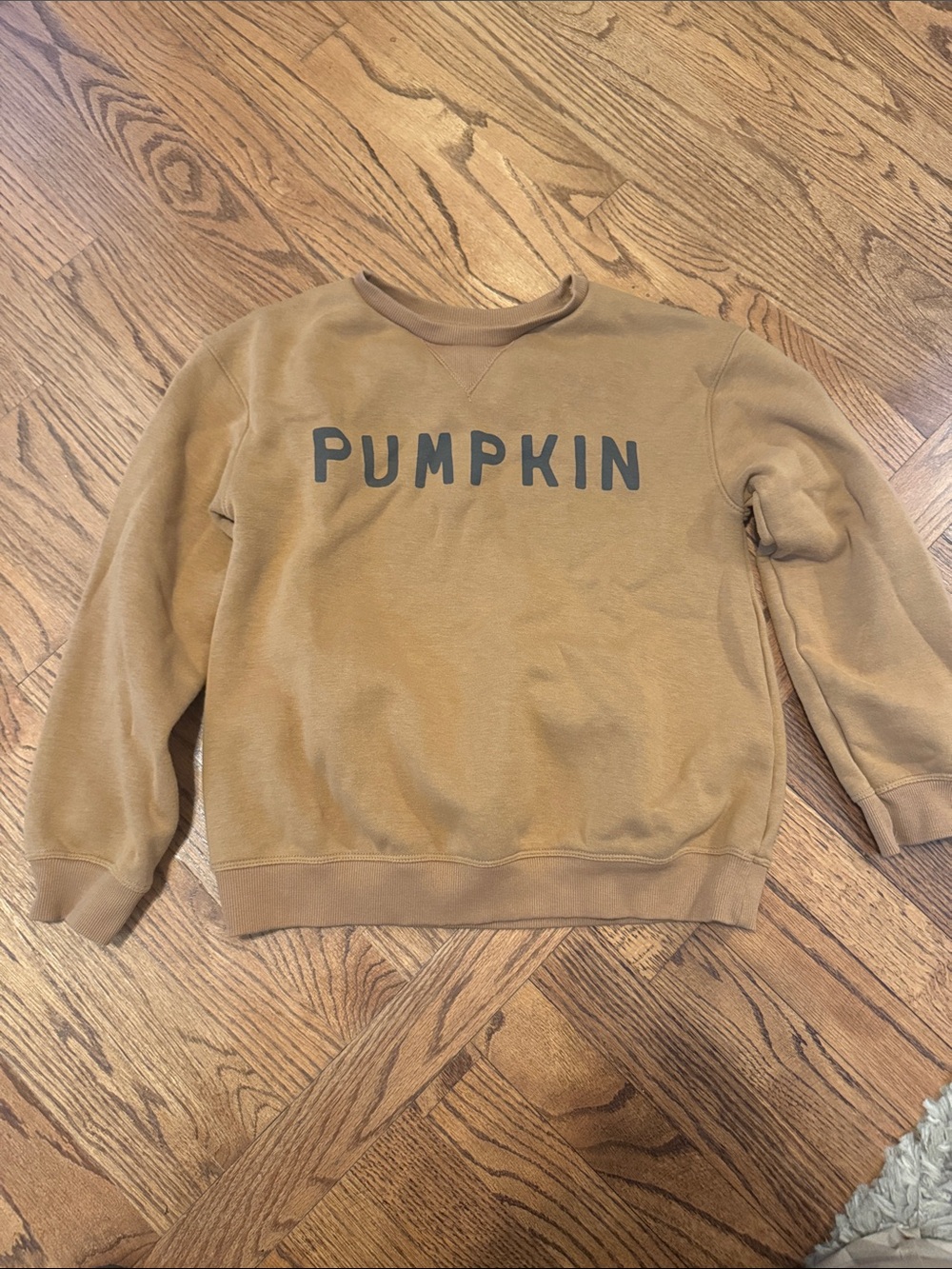 Pumpkin Graphic Brown Crewneck Sweatshirt